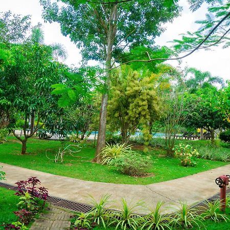 Sungreen Resort Habarana Extérieur photo