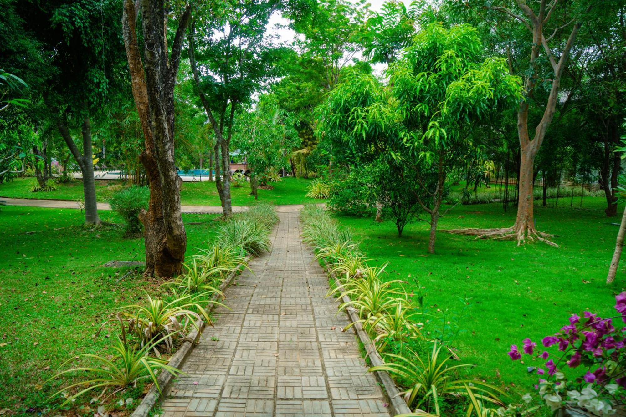 Sungreen Resort Habarana Extérieur photo